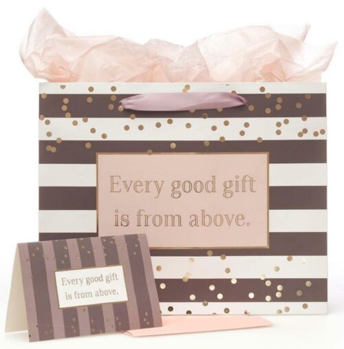 1220000133389 Every Good Gift Large Gift Bag Set With Card And Tissue Paper James 1:17