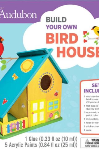 705988222115 Audubon Build Your Own Bird House Paint Kit