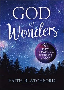 9780800761783 God Of Wonders