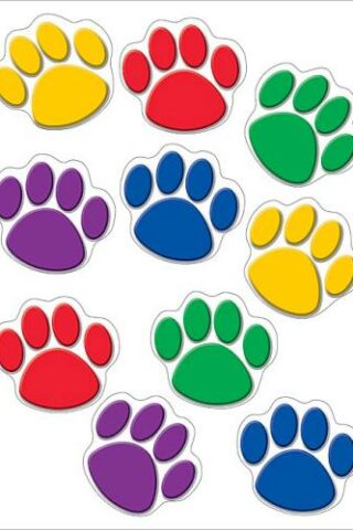 0088231941149 Colorful Paw Prints Accents