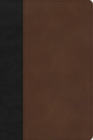 9781087774404 Large Print Thinline Bible