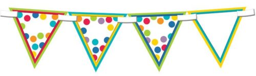 9781483803593 Color Me Bright Banner