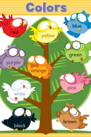 9781483817286 Owl Pals Colors Chart