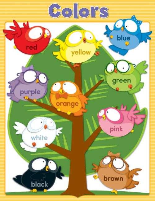 9781483817286 Owl Pals Colors Chart