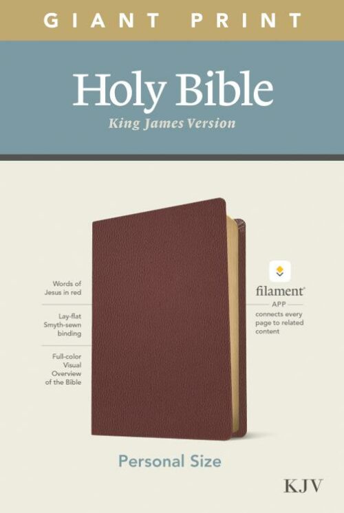 9781496447753 Personal Size Giant Print Bible Filament Enabled Edition