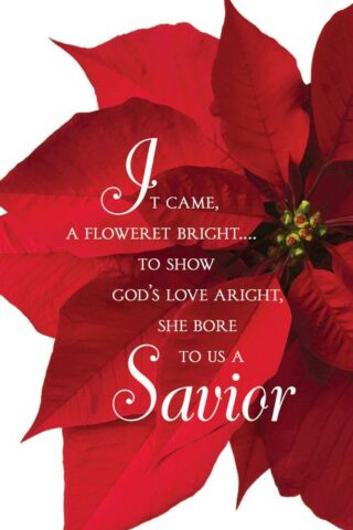 9781501865077 Savior Poinsettia