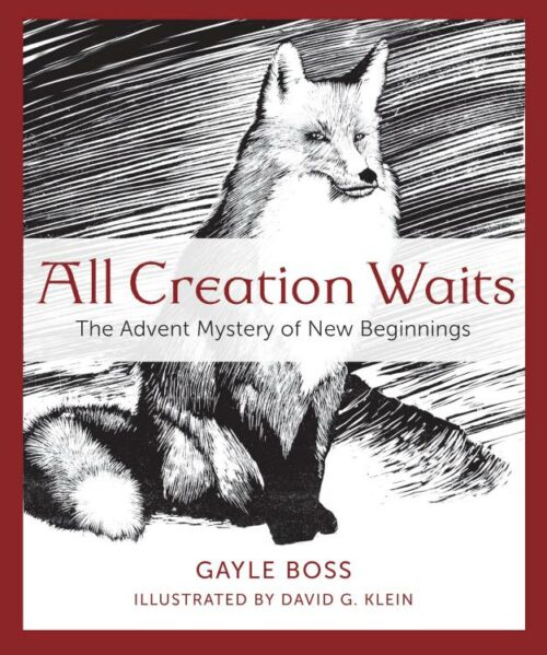 9781612617855 All Creation Waits