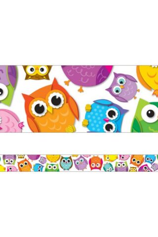 9781624420481 Colorful Owls Straight Borders