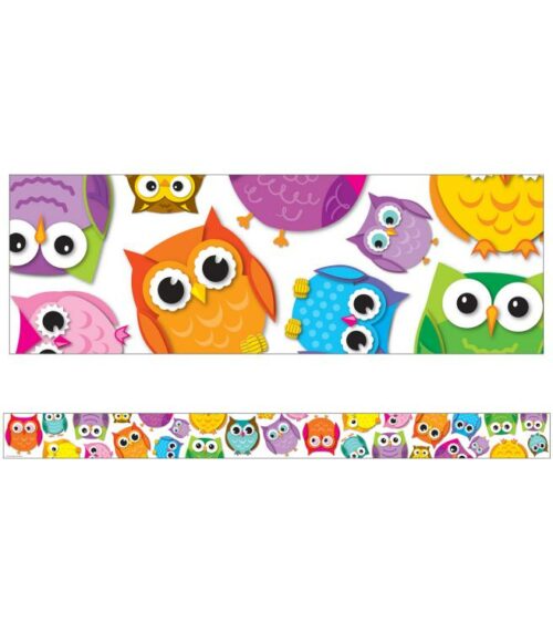 9781624420481 Colorful Owls Straight Borders