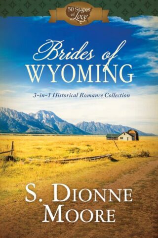 9781634097994 Brides Of Wyoming