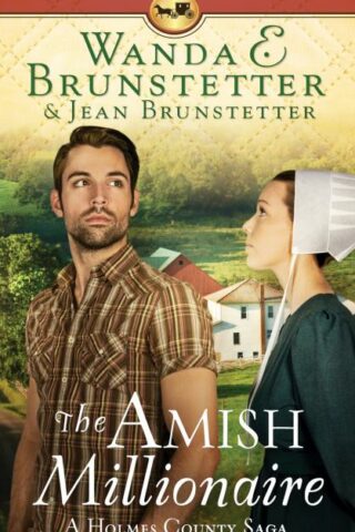 9781643528700 Amish Millionaire : A Holmes County Saga