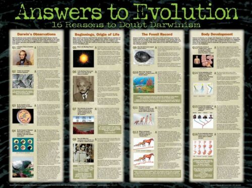 9781890947880 Answers To Evolution Wall Chart Laminated