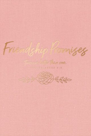 9781535934428 Friendship Promises