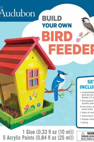 705988222122 Audubon Build Your Own Bird Feeder Paint Kit