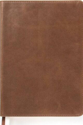 9781433648250 She Reads Truth Bible