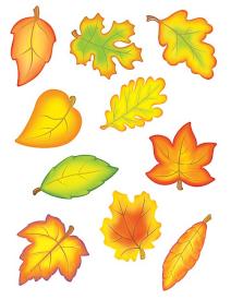 0014467044194 Fall Leaves Accents