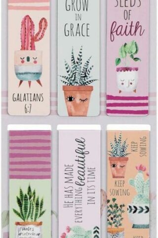 1220000137202 Set of 6 Beloved Scripture Favorites w/Cactus & Cheerful Flower Pots Inspiration