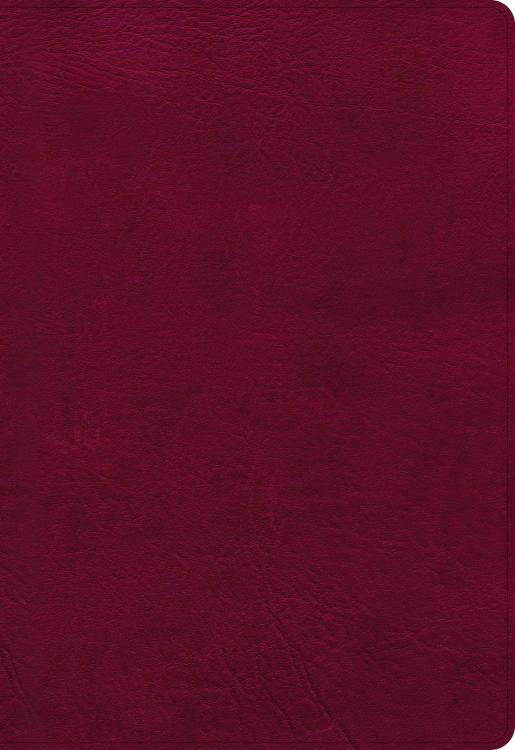 9781087757629 Super Giant Print Reference Bible