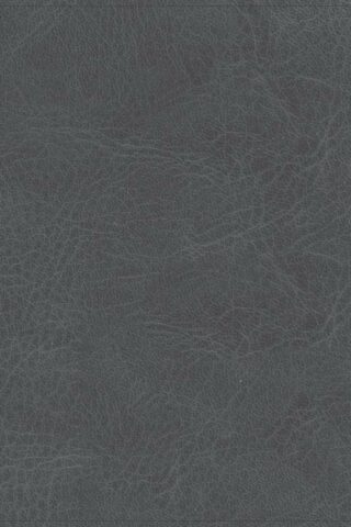 9781087766102 He Reads Truth Bible