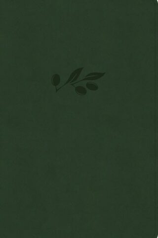 9781430086048 Large Print Thinline Bible NASB 2020 Edition