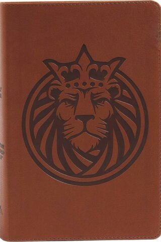 9781535965774 Kids Bible