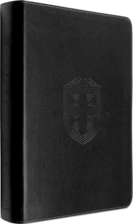 9781433599675 Mens Study Bible