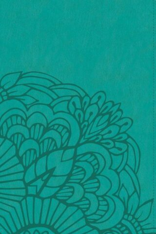 9781433620256 Ultrathin Bible