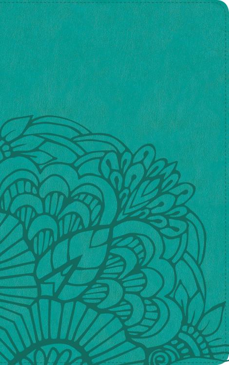 9781433620256 Ultrathin Bible