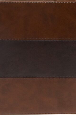 9781087721958 Study Bible Full Color