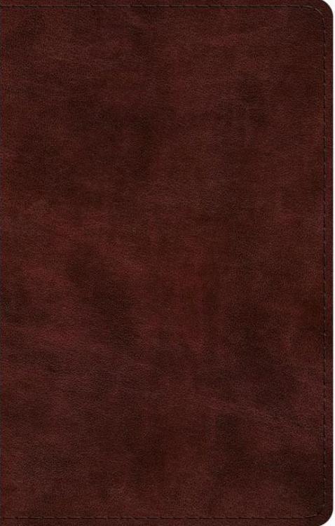 9781433575891 Large Print Thinline Bible