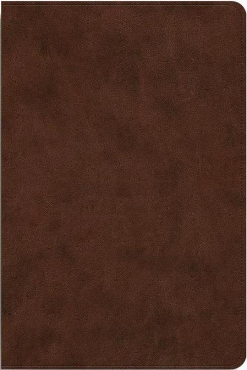 9781433598357 Dyslexia Friendly Edition Bible