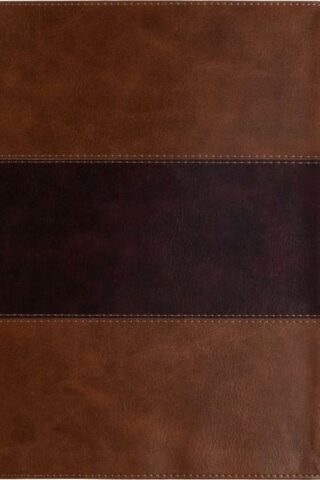 9798384509868 Study Bible Large Print Edition