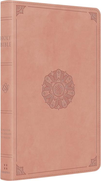 9798874903718 Thinline Bible