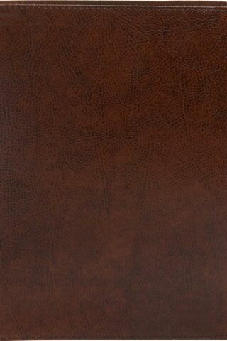 9781087722009 Study Bible Full Color