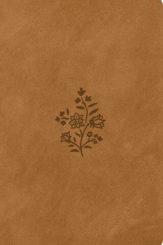 9798874903176 Premium Gift Bible