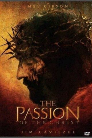 850028052143 Passion Of The Christ (DVD)