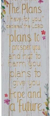 1220000136762 I Know The Plans Sunday School/Teacher Bookmark Set - Jeremiah 29:11